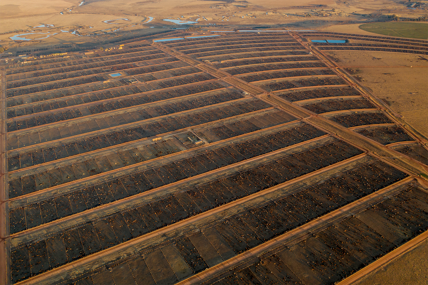 Santa Rosa Feedyard Feedyard