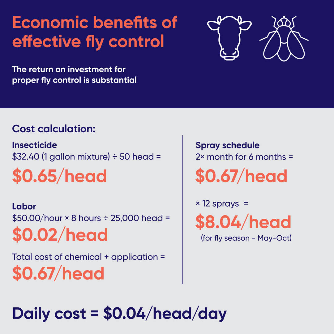 Fly control infographic