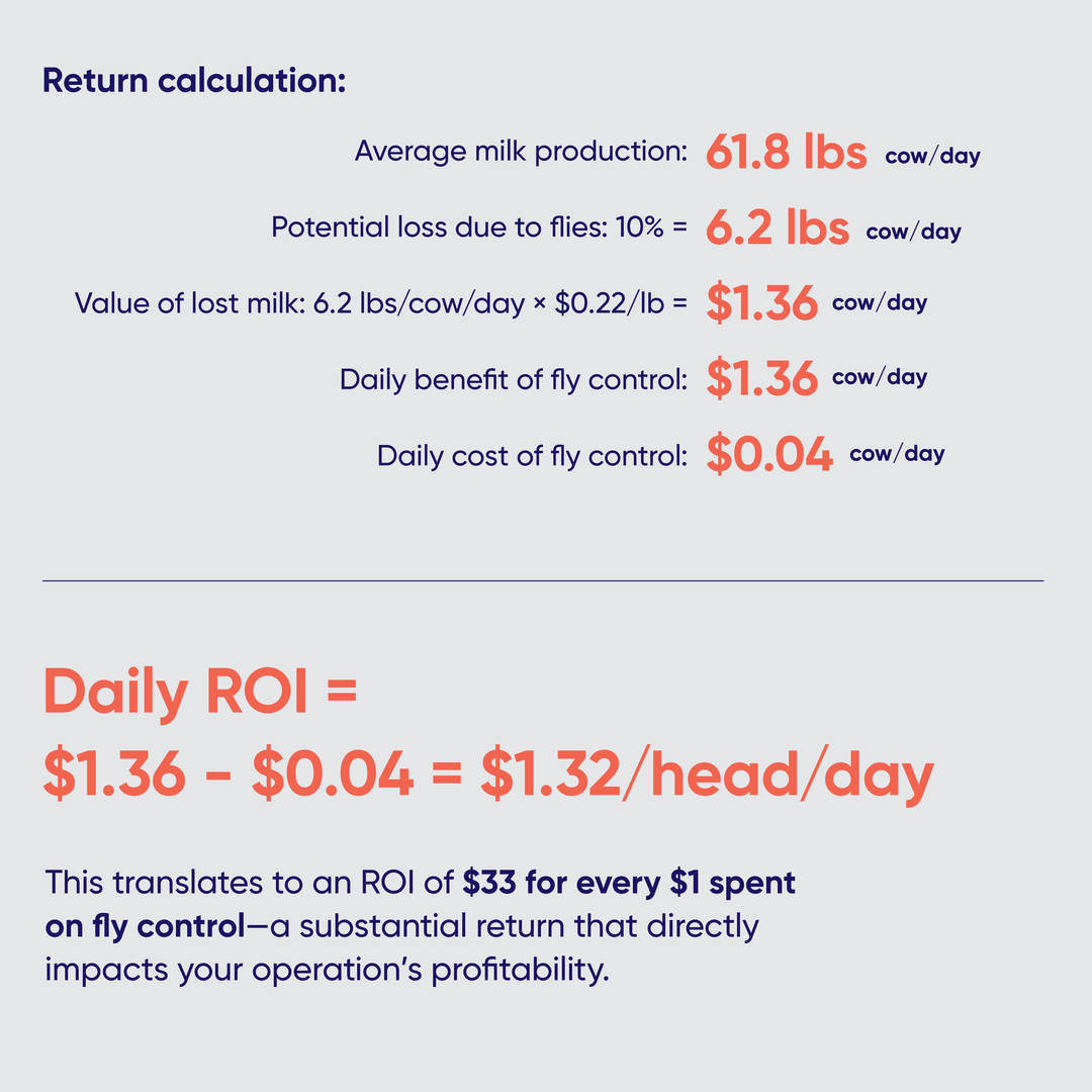 Fly control infographic