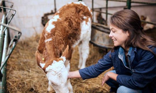 Woman with baby calf