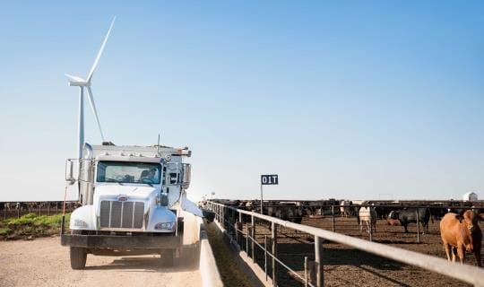 Feed truck driving and dropping feed into trough on cattle farm